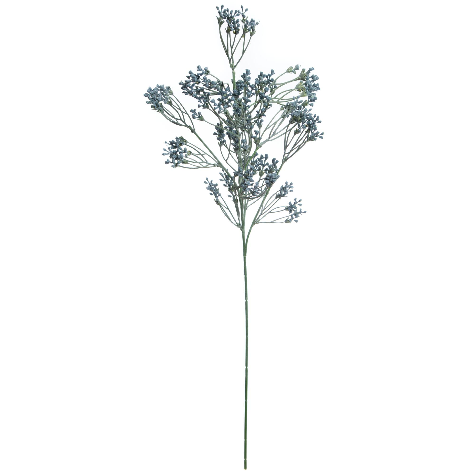 25.5" Green Sedum Stem by Ashland®